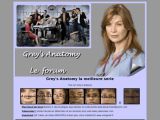 Grey's Anatomy, la meilleure série